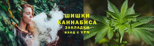 гидропоника Богородицк