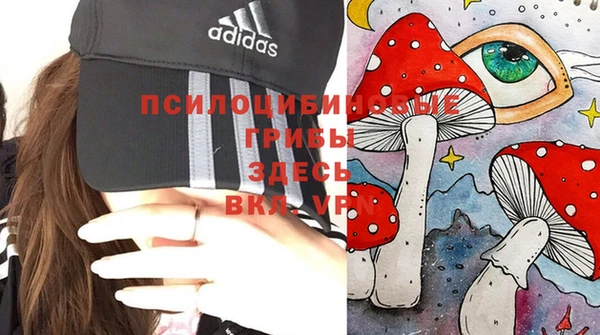 гидропоника Богородицк
