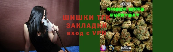 гидропоника Богородицк